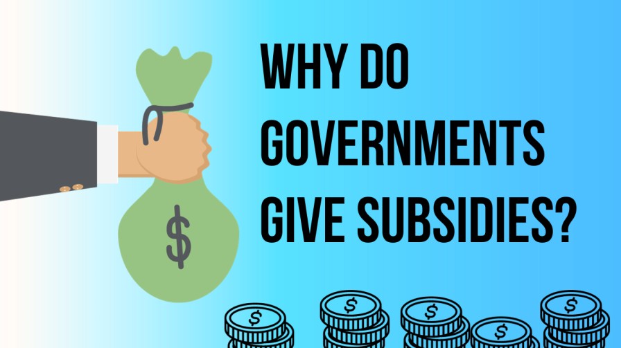 Why do governments give subsidies